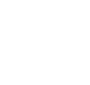 BellasArtes